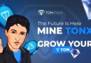 TonXPools — новый инвестиционный проект на базе Телеграм, бесплатный фарминг + депозиты от 2% в день