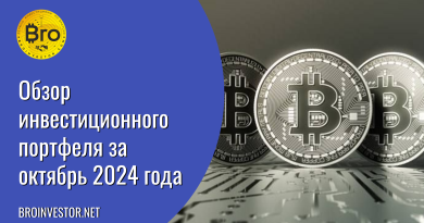 Обзор инвестиционного портфеля за октябрь 2024 года